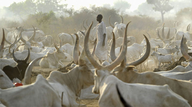 Nama in Nigeria